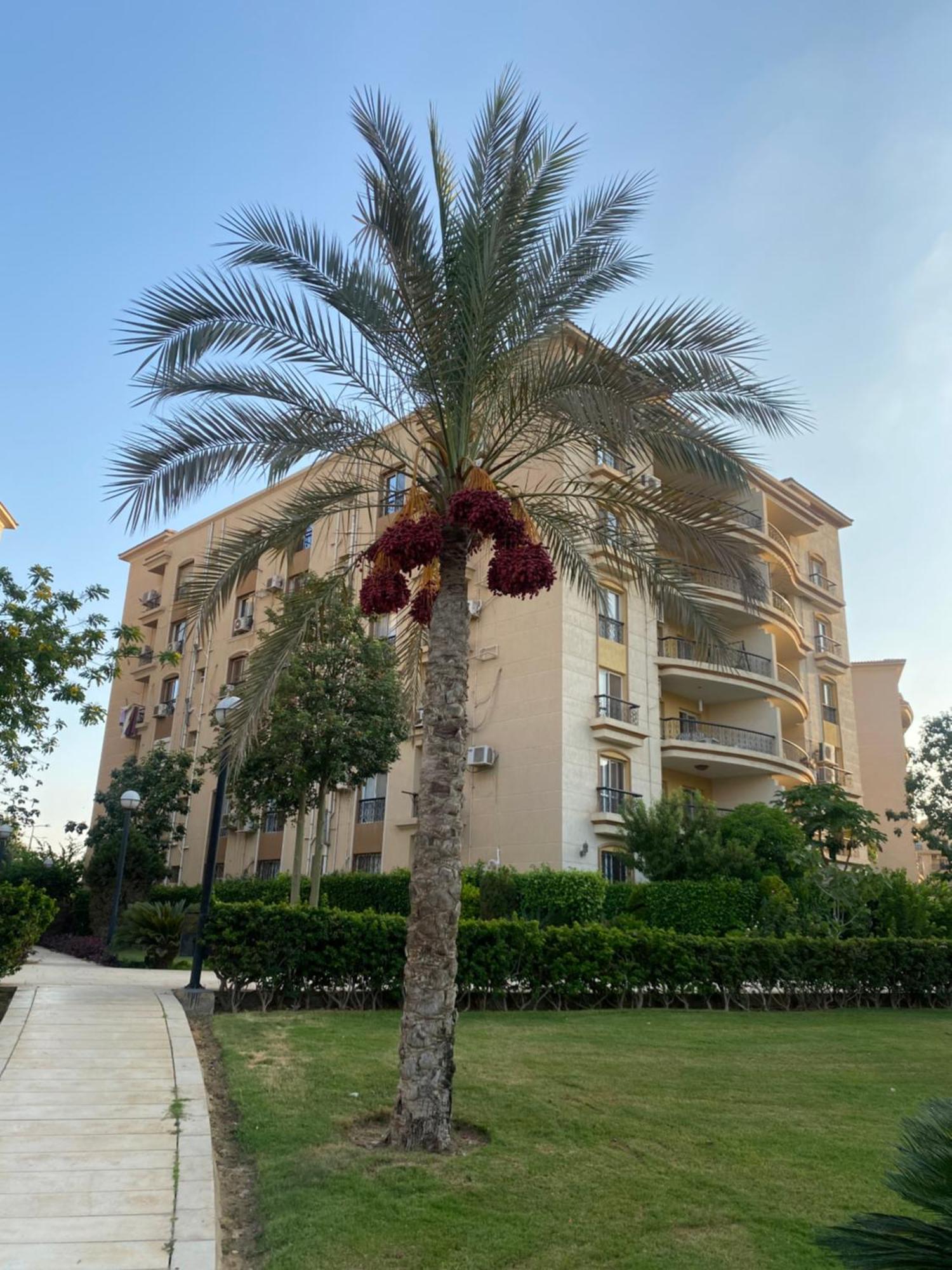 Elegant And Spacious Luxury In Al Rehab Gated Community, New Апартаменти Каїр